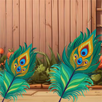 Free online html5 escape games - G2M Peacock Family Escape