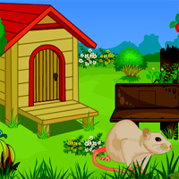 Free online html5 games - Avm Cute Rat Escape game 