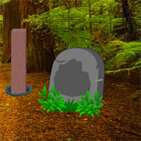 Free online html5 games - AvmGames Escape Pretty Bird game 