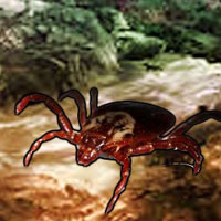 Free online html5 games - Picasso Fleas Forest Escape game 