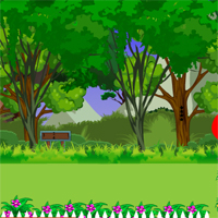 Free online html5 games - Avm Pato Escape game 