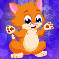 Free online html5 games - Games4king Gorgeous Cat Escape game 