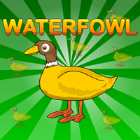 Free online html5 games - Games2Jolly Waterfowl Rescue game 