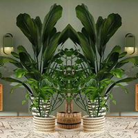 Free online html5 games - Jungle Wallpaper House Escape HTML5 game 