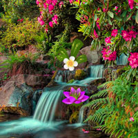 Free online html5 games - Victoria Flower Garden Escape Games2rule game 