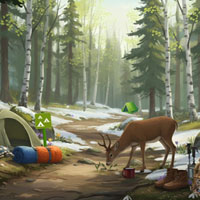 Free online html5 escape games - Silent Campsite