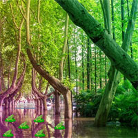 Free online html5 games - Games2rule Cascade Hill Forest Escape game 