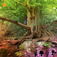 Free online html5 games - 8b Dense Forest Escape game 
