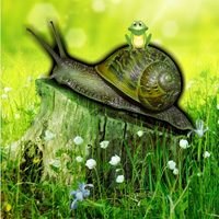 Free online html5 games - Games2rule Snail Forest Escape game 