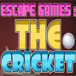 Free online html5 games - Escape The Cricket game 