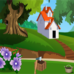 Free online html5 games - Dual birds Escape game 