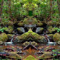 Free online html5 games - Wet Evergreen Forest Escape Games2rule game 