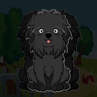 Free online html5 games - G2J Affenpinscher Dog Escape game 