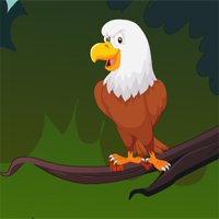 Free online html5 games - Toucan Tree Cage Escape game 