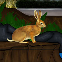 Free online html5 games - Mirchi Rabbit Rescue game 