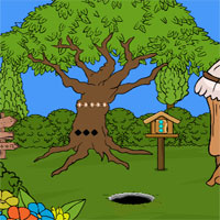Free online html5 games - Games2Jolly Rescue The Cuckoo Bird game 