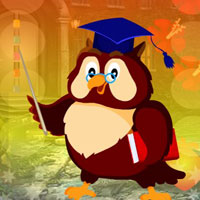 Free online html5 games - G4K Graduate Owl Escape game 