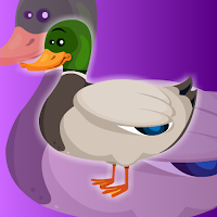 Free online html5 games - G2J Help The Baby Mallard Duck game 