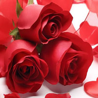 Free online html5 escape games - Valentines Rose Bouquet Day HTML5