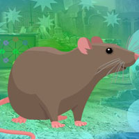 Free online html5 games - G4K Rodent Brown Rat Escape  game 