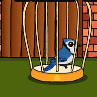 Free online html5 games - G2J Rescue The Blue Jay game - WowEscape 