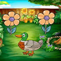 Free online html5 games - G2R Duck Searching Her Foal game 