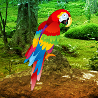 Free online html5 games - Games2rule Scarlet Macaw Forest Escape game 