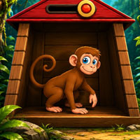 Free online html5 escape games - Rescue the Trapped Monkey