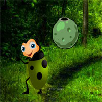 Free online html5 games - G2R Crazy Beetle forest game - WowEscape 