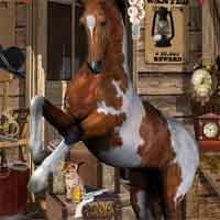 Free online html5 games - Wanted Dead or Alive Hidden247 game 