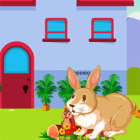 Free online html5 games - Avm Escape The Rabbit game 