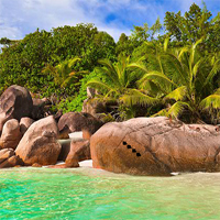 Free online html5 games - Deserted Island Escape 2 game 