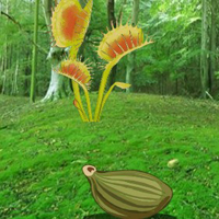 Free online html5 games - Escape From Plant Forest HTML5 game 