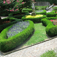 Free online html5 games - Outdoor Garden Escape game 