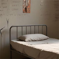 Free online html5 escape games - 365 Prison Cell Escape