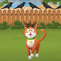 Free online html5 games - G2M Find the Cat Crown game 