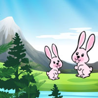Free online html5 escape games - Angry Bear Escape