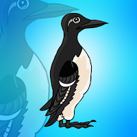 Free online html5 games - G2J Guillemots Bird Escape game 