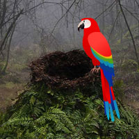 Free online html5 games - G2R Trigger Forest Escape game 
