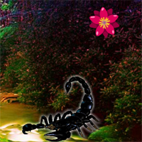Free online html5 games - G2R Black Scorpion Forest Escape game 