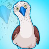 Free online html5 games - G2J Boobies Bird Escape game 