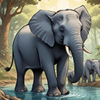 Fun Loving Elephant Rescue