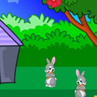 Free online html5 games - Pretty Cat Rescue game 