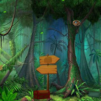 Free online html5 games - Top10 Find The Little Bunny game 