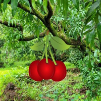 Free online html5 games - Hawaii Grove Forest Escape HTML5 game 