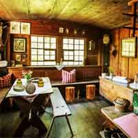 Free online html5 games - Top10NewGames Find The Rope In Orchard Cottage game 