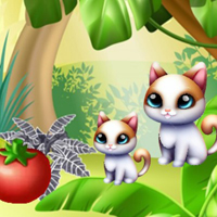 Free online html5 games - G2M The Final Peel game 