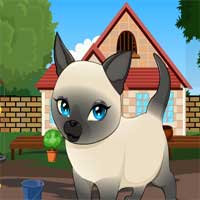 Free online html5 games - Tonkinese Cat Rescue Games4King game 