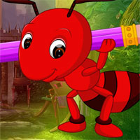 Free online html5 games - G4k Writing Ant Rescue game 
