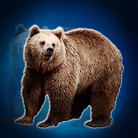 G2J Save The Grizzly Bear